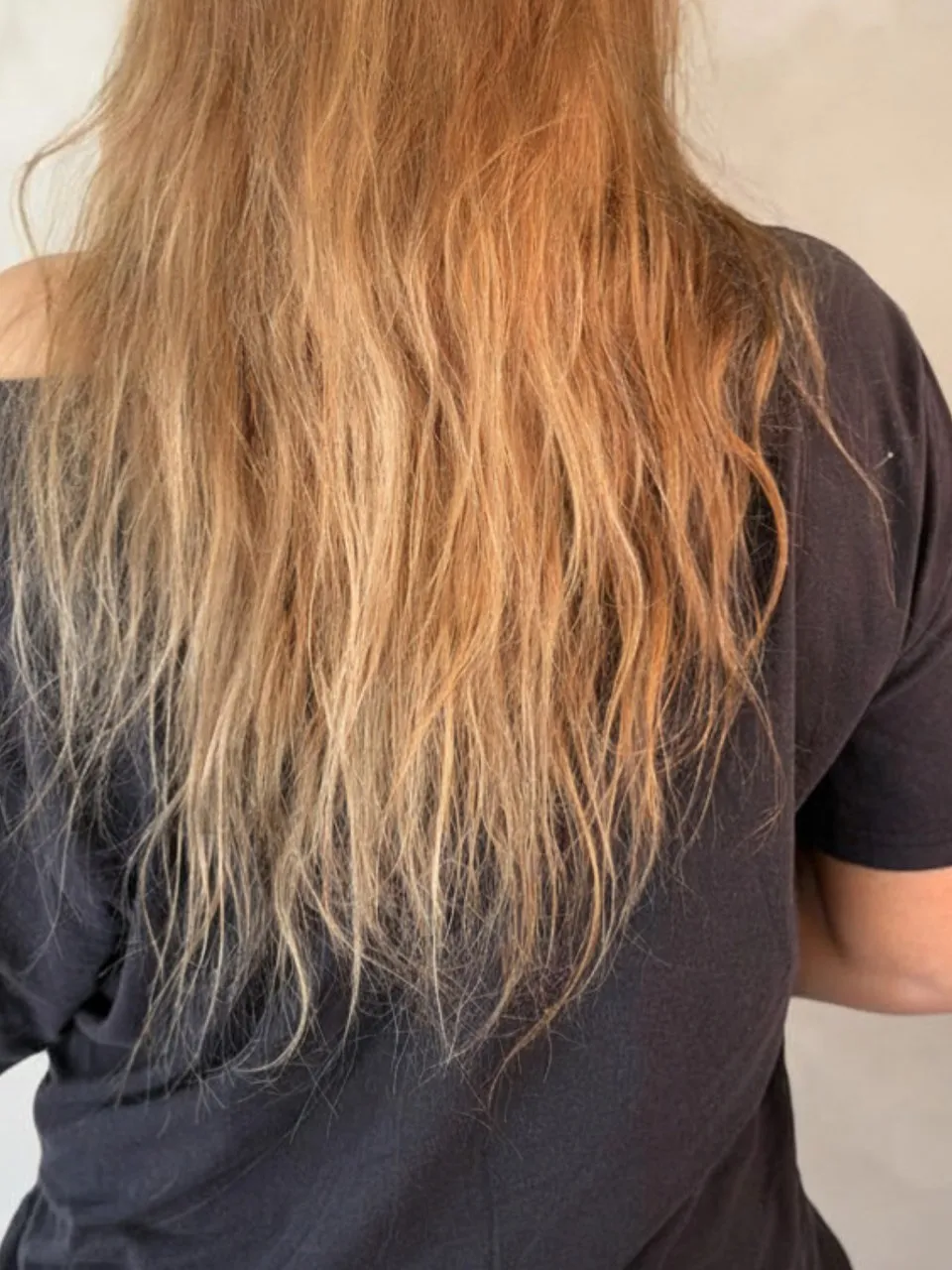 Langt, slitt hår med lyse tupper sett bakfra